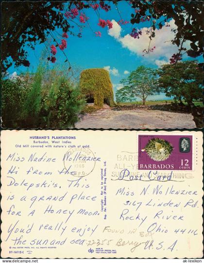 Barbados allgemein HUSBAND'S PLANTATIONS Barbados, West Indies 1968