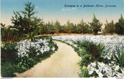 Bermuda Driveway to Home