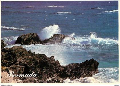 Carte Postale - Antilles - Bermudes - Bermuda - CPM - Voir Scans Recto-Verso - Poscard - Carta Postal -  Postkarte