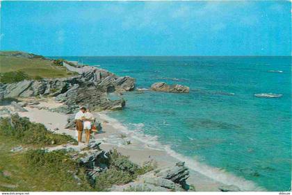 Carte Postale - Bermudes - Warwick beach - Warwick beach scene - Scène de la plage de warwick - CPM 138 x 86 mm - Voir S
