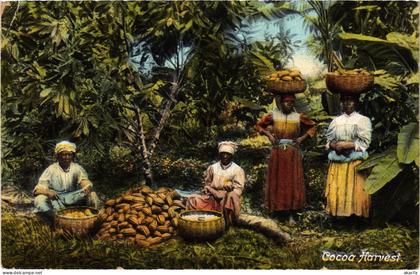 PC JAMAICA COCOA HARVEST JAMAICA (a79476)