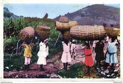 HAITI  PITTORESQUE - MARCHANDES DE PANIERS - BASKETS SELLERS