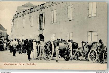 13512058 - Warehousing Sugar Langerung Zucker Eselkarren Barbados