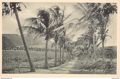 Saint-Kitts - Coconut Trees - Publ. A. Moure Losada 151a