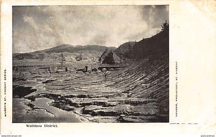 SAINT VINCENT - Wallibou District - Publ. Wilson.