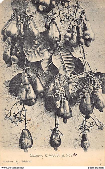 Trinidad - Cashew - Publ. Stephens Ltd.