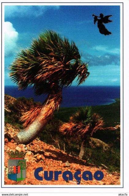 CPM Curacao CURACAO (645411)