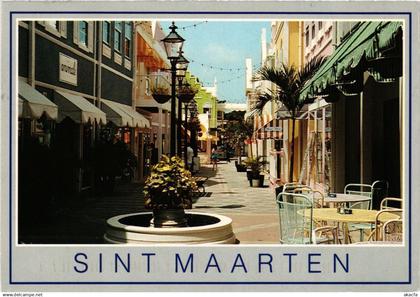 CPM Souvenir St-MARTIN (750196)