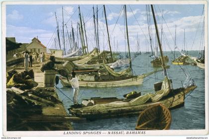 Bahamas Nassau Landing Sponges ed Sands