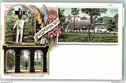 13641329 - Barbados