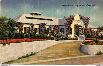 Bermuda - Government Aquarium