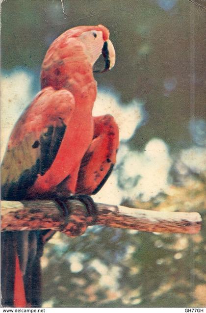 CPA ILES VIERGES -timbrée