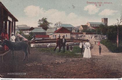 JAMAIQUE(MANDEVILLE)