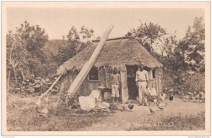 VIRGIN ISLANDS / Native Hut - St Thomas