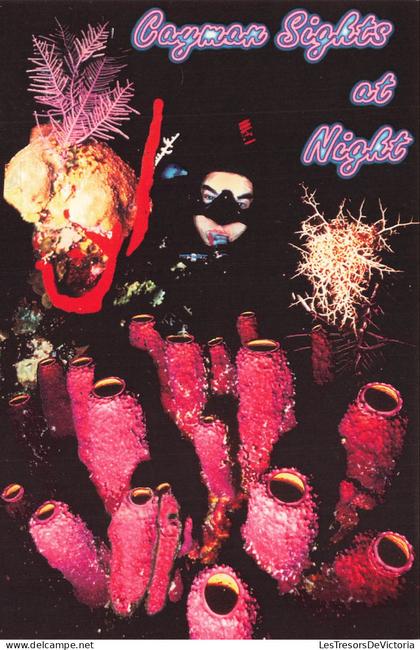 ANTILLES - Cayman - Sights at Night - Sites - Nuit - Eponges tubulaires - Coraux - Gorgones - Plongeur - Carte postale