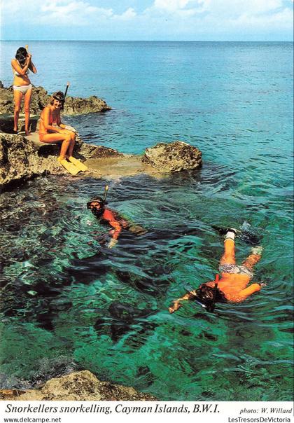 ANTILLES - Cayman Islands - BWI - Snorkellers snorkelling - Plongeurs - Tuba - Plongée en apnée - Roches - Carte postale