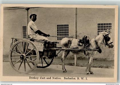 13512136 - Eselkarre Native Barbados