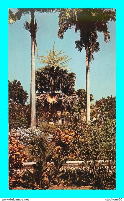 a912 / 561  In pall mall square St Kitts