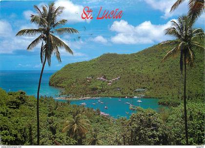 CPM Saint Lucia West Indies Marigot Bay