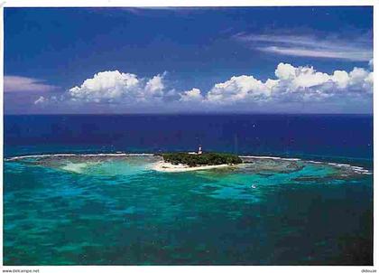 Carte Postale - Antilles - Couleur des Antilles - Illet Gosiet - CPM - Voir Scans Recto-Verso - Poscard - Carta Postal -
