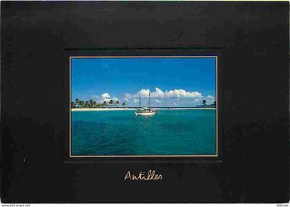 Carte Postale - Antilles - Mouillage aux Antilles - CPM - Voir Scans Recto-Verso - Poscard - Carta Postal -  Postkarte