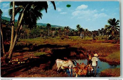 10301356 - Landwirtschaft Bauern  Country-side Petit Goave