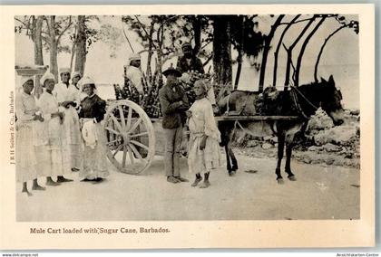 13512040 - Zuckerrohr Esel Eselkarren Barbados