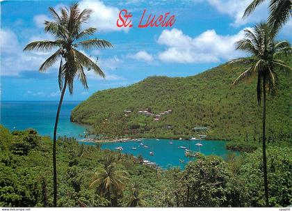 CPM Saint Lucia West Indies Marigot Bay