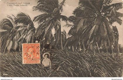 TURKS ISLANDS #FG57255 COCOANUTS AND GUINEA CORN