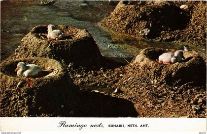 CPM AK Flamingo nests BONAIRE (750227)