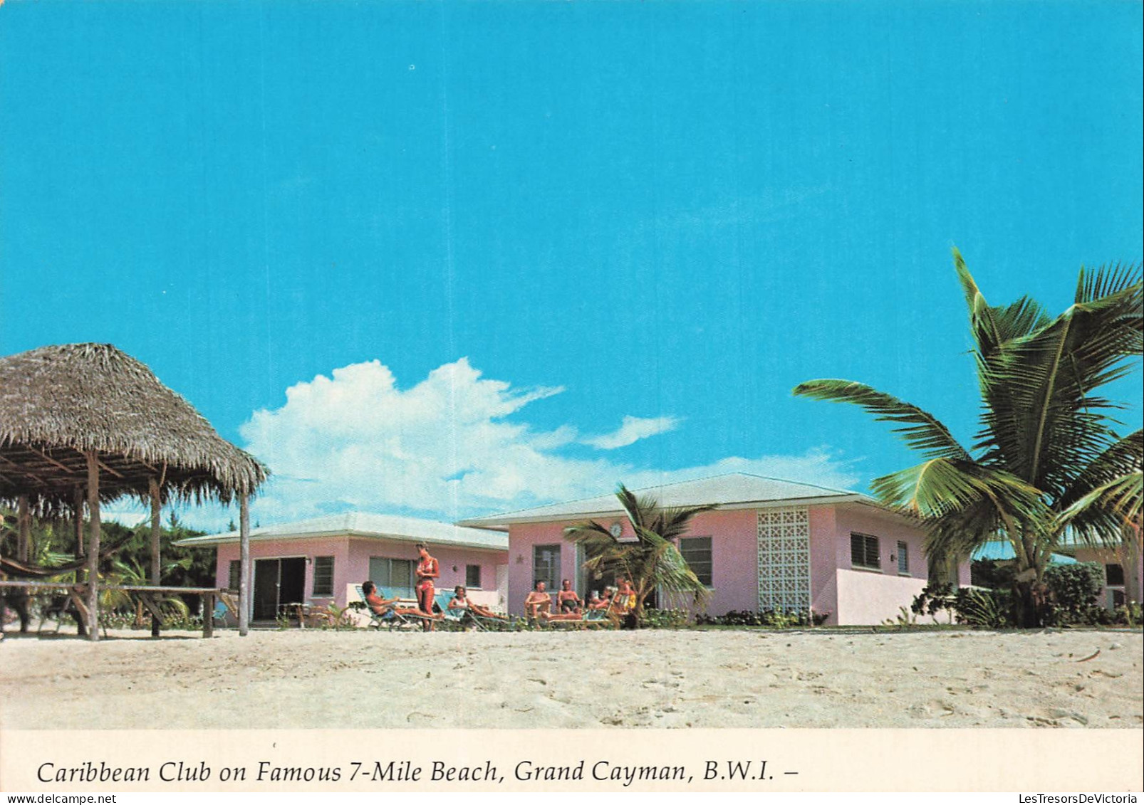ANTILLES - Grand Cayman - Caribbean club - Famous 7Mile Beach - Célèbre plage de 7miles - Palapa - Animé - Carte postale