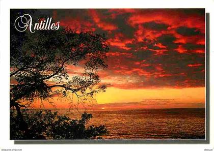Carte Postale - Antilles - Antilles Francaise - Coucher de soleil - Carte Neuve - CPM - Voir Scans Recto-Verso - Poscard