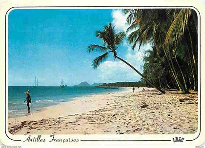 Carte Postale - Antilles - Antilles Francaise - Plage de cocotiers - CPM - Voir Scans Recto-Verso - Poscard - Carta Post