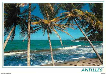 Carte Postale - Antilles - Antilles Francaise - Plages - CPM - Voir Scans Recto-Verso - Poscard - Carta Postal -  Postka