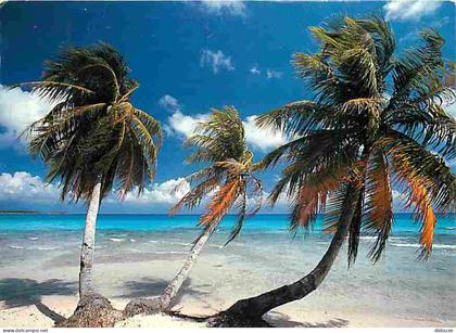 Carte Postale - Antilles - Plage des Antilles - CPM - Voir Scans Recto-Verso - Poscard - Carta Postal -  Postkarte