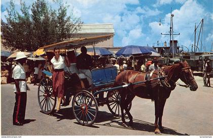 B159 Bahamas Nassau Colorful Carriages vintage postcard