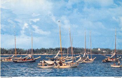 B159 Bahamas Nassau Fishing Smacks Boats vintage postcard