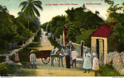 Bahamas, Nassau, On the Rod to Blue Hills, um 1910/20