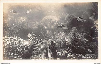 Bahamas - NASSAU - Sea Garden - REAL PHOTO - Publ. S.F. Corp. 1914