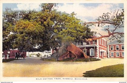 Bahamas Nassau Silk Cotton Tree vintage postcard