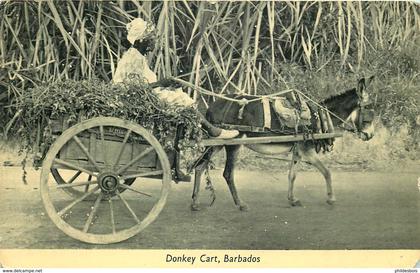 ANTILLES  BARBADES  donkey cart ( angleinfdrt)