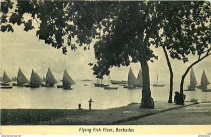 ANTILLES  BARBADES  flying fish fleet
