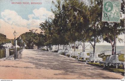 BARBADES(ARBRE)