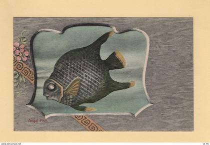 Bermudes - Bermuda - Angel Fish