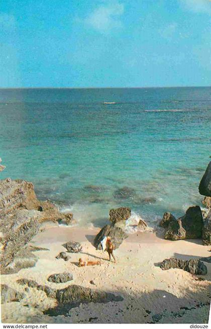Bermudes - Warwick - South shore beach - Plage de south shore - CPM 138 x 86 mm - Voir Scans Recto-Verso