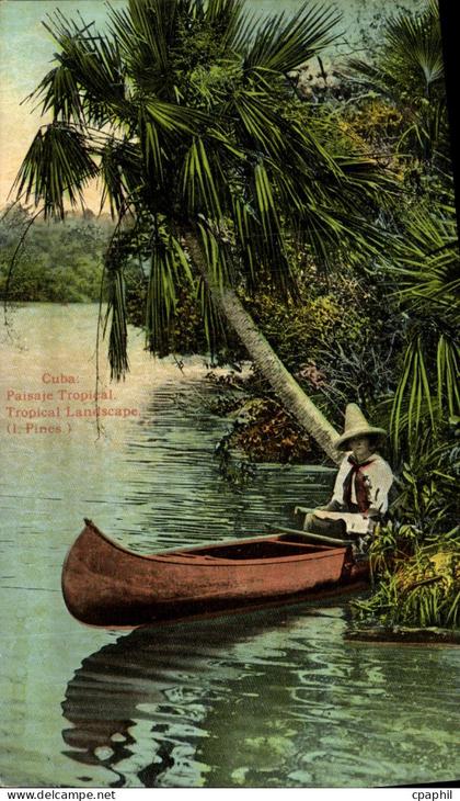 CPA Cuba Paisaje tropical