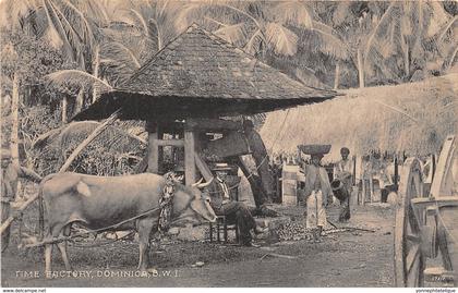 Dominique / 14 - Time Factory