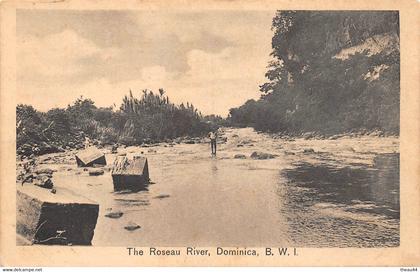 ¤¤  -   DOMINIQUE   -    The ROSEAU River   -   Dominica  -  B.W.I.      -  ¤¤