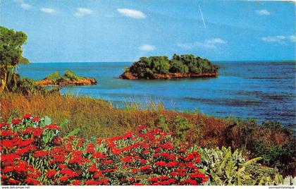 République Dominicaine / 10 - Samana - défaut