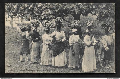 CPA Jamaïque Kingston Banana carriers